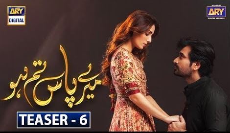 Petition Filed in Lahore High Court Meray Pass Tum Ho Last Episode Reveals Everything