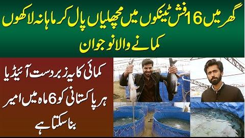 Man who earn Lacs Per Month after Selling Fishes in Pakistan