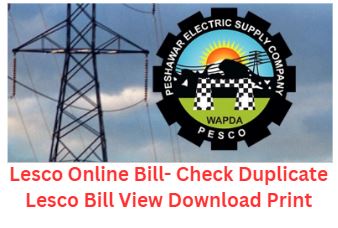 Lesco Online Bill- Check Duplicate Lesco Bill View Download Print