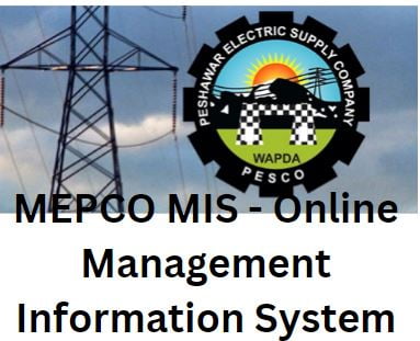 MEPCO MIS - Online Management Information System