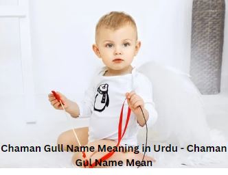 Chaman Gull Name meaning in urdu - chaman name meaning