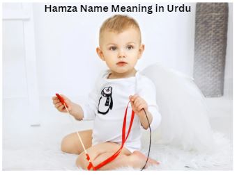 Hamza Name Meaning in Urdu