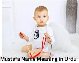 Mustafa Name Meaning in Urdu