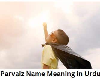 Parvaiz Name Meaning in urdu