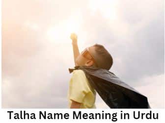 Talha Name Meaning in Urdu