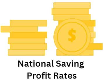 National Saving Profit Rates