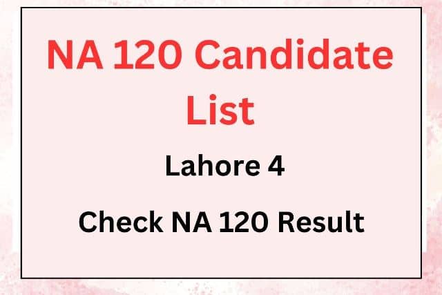 NA 120 Candidate List 2024