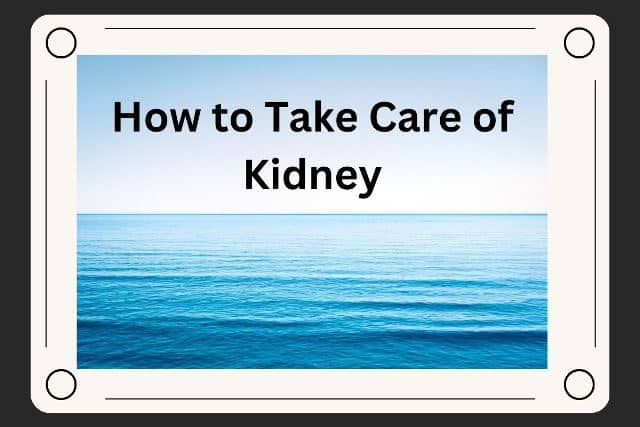How to Take Care of Kidney
