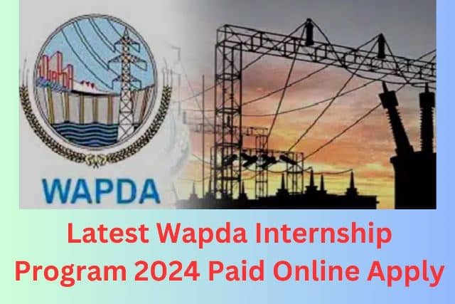 Latest Wapda Internship Program Paid Online Apply